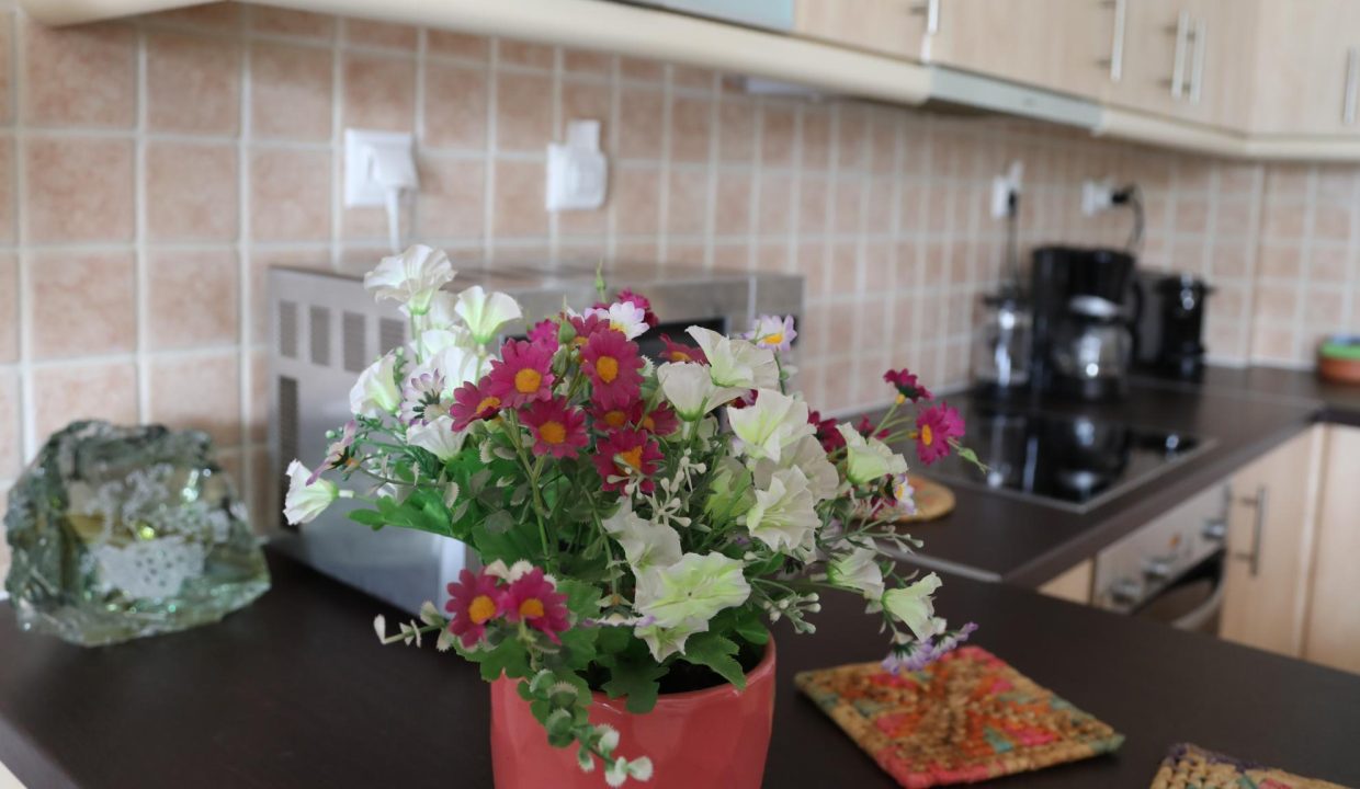 6.Kitchen Detail